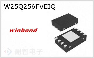 W25Q256FVEIQ